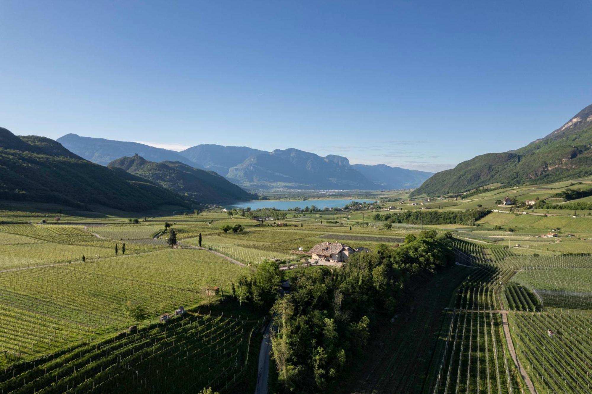 Ansitz Battisti Suites (Adults Only) Caldaro Zewnętrze zdjęcie